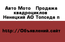 Авто Мото - Продажа квадроциклов. Ненецкий АО,Топседа п.